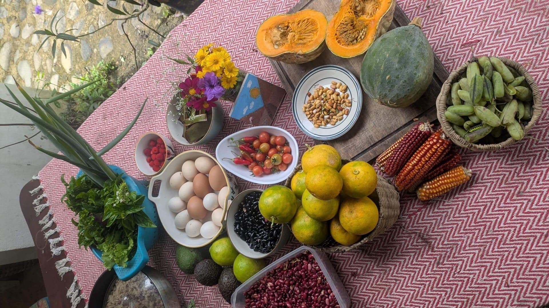 Permaculture